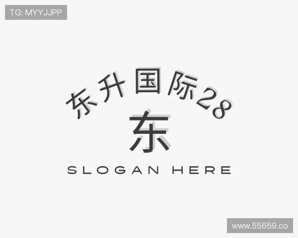 阐述东升国际28